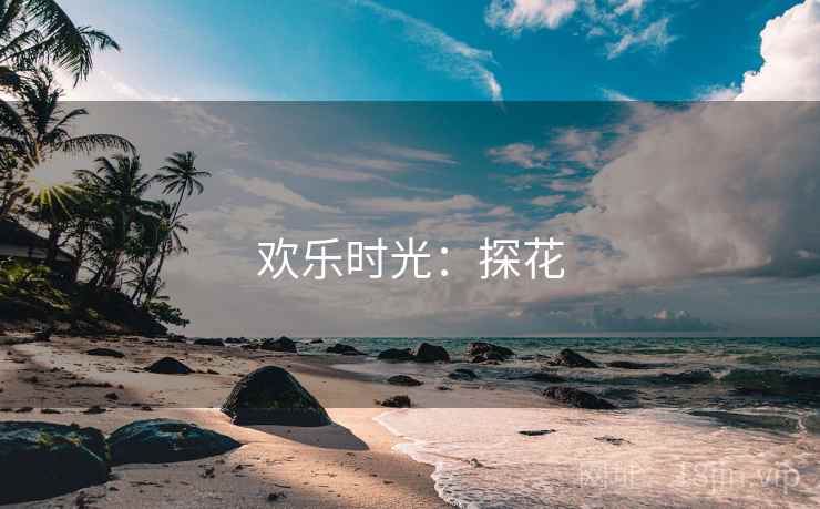 欢乐时光：探花
