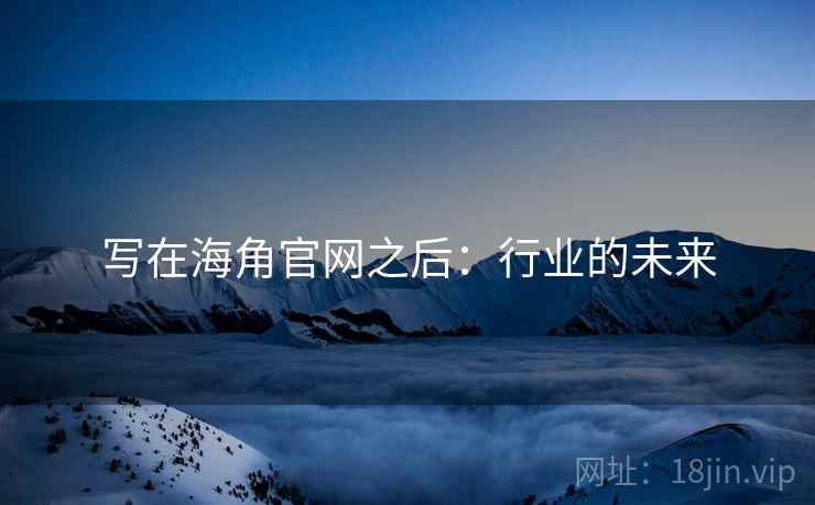 写在海角官网之后：行业的未来