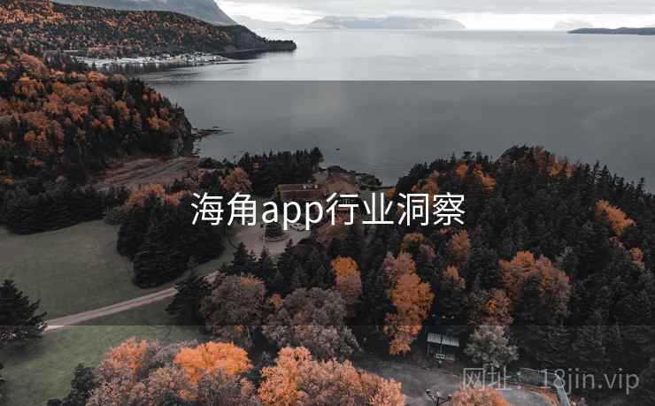 海角app行业洞察
