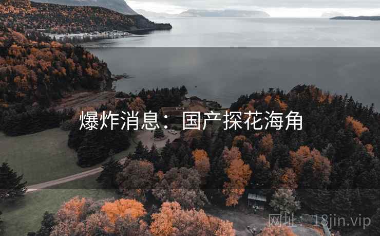 爆炸消息:国产探花海角