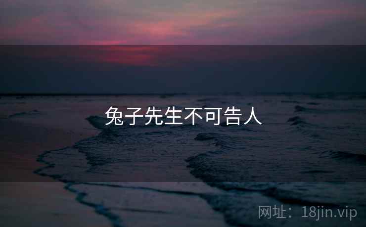 兔子先生不可告人  第1张