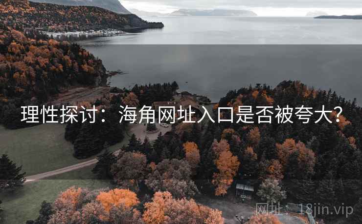 理性探讨:海角网址入口是否被夸大?
