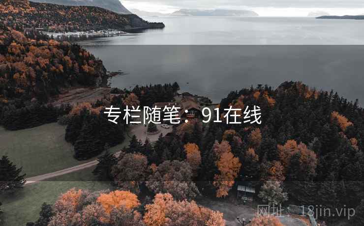 专栏随笔：91在线